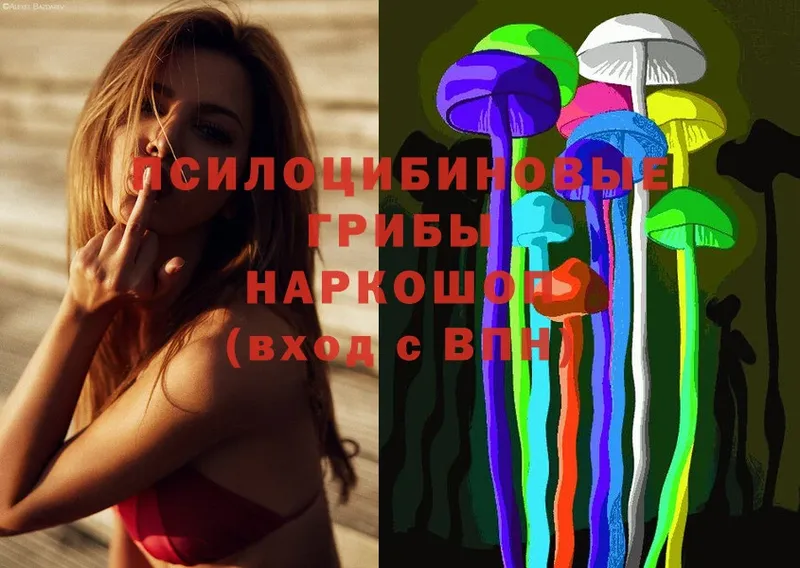 blacksprut ссылки  Куровское  Псилоцибиновые грибы MAGIC MUSHROOMS 